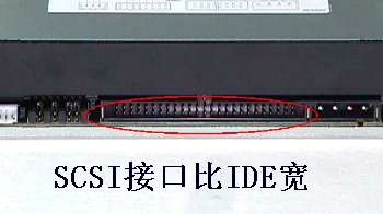scsi-5.jpg (9923 ֽ)