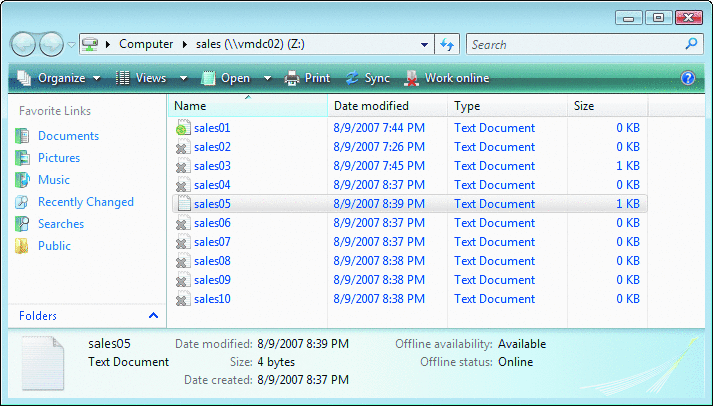 ͼ 5  Windows Vista ѻʱʾõļ
