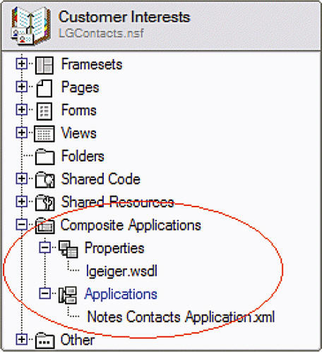 Composite Applications Ԫ IBM Lotus Domino Designer V8 еԪ